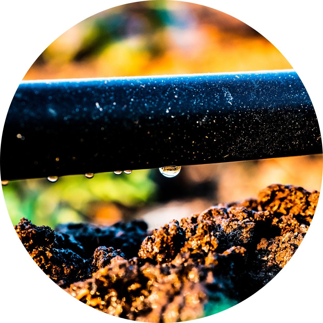 Water dripping from an irrigation system on a farm